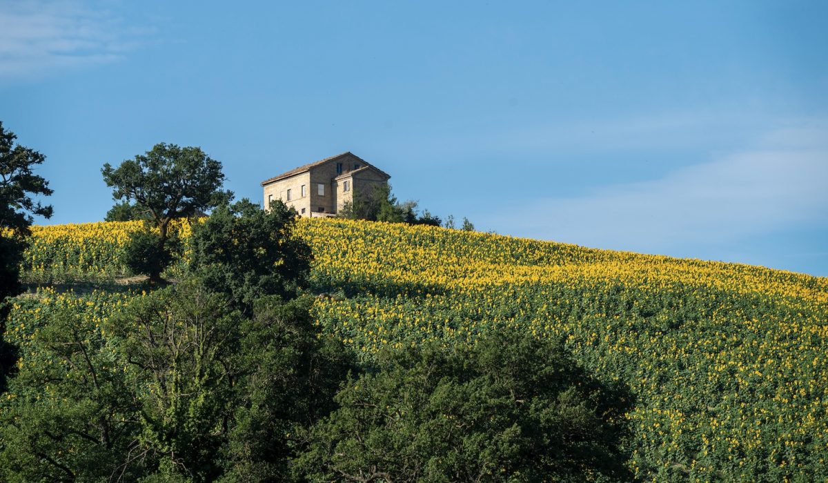 Schermata 2023-03-31 alle 01.23.15