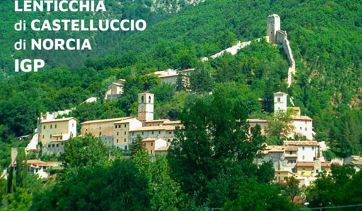 Sito_FBM_immagini5